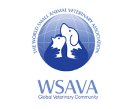 logo_wsava